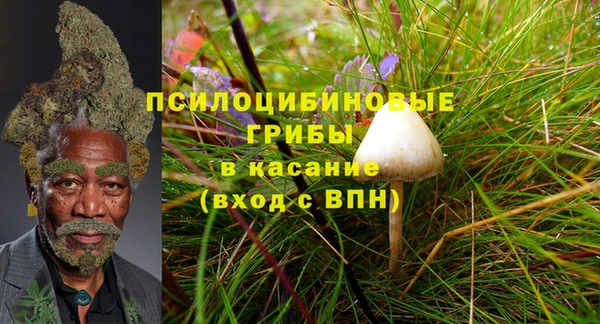 гашик Краснотурьинск