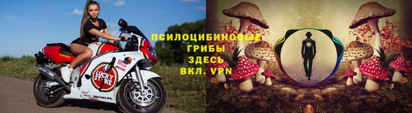 гашик Краснотурьинск