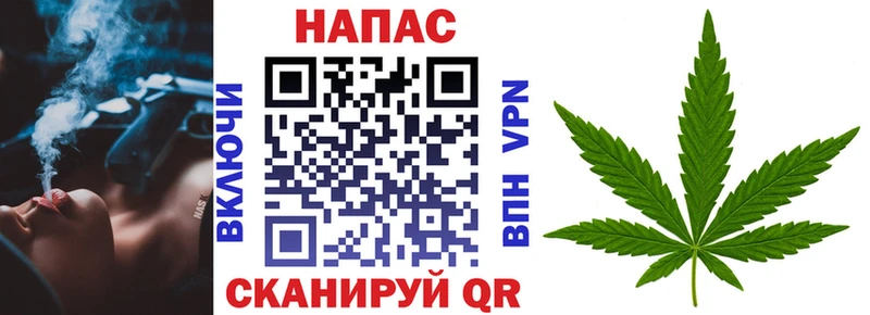 Купить  Сунжа  Канабис OG Kush 
